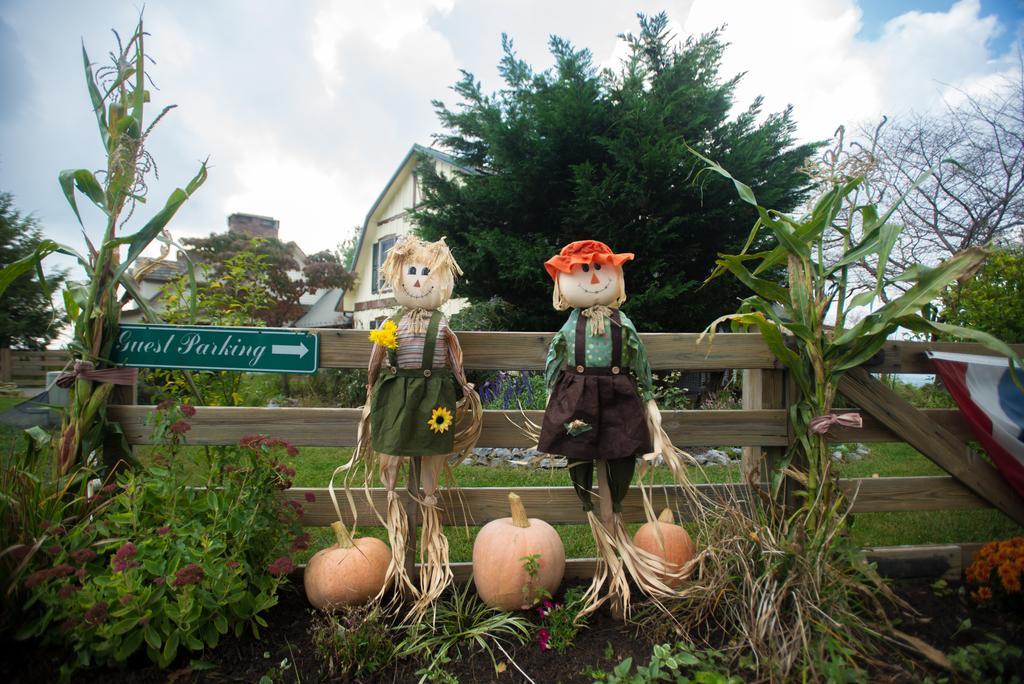 Antietam Overlook Farm Rohrersville Екстер'єр фото